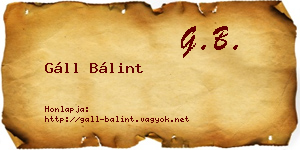 Gáll Bálint névjegykártya